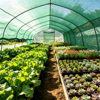 100% Nieuw, Heavy Duty HDPE Warp-Knitted Eco-vriendelijk UV-beschermend kas-schaduwnet, roltype, tuinnet, zonneschaduwnet