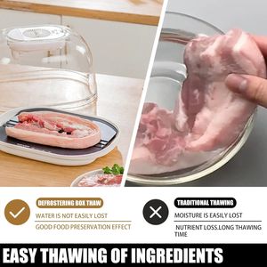 2 in1解凍トレイ高速解凍プレートボード噴霧立体解凍クイック解凍機 - Product Image 4