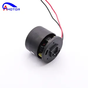 Factory Wholesale Dry Wet Vacuum Cleaner DC Electric Permanent Magnet 22V Brushless Motor