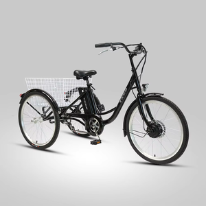 Vélo cargo électrique urbain à trois roues avec moteur arrière puissant 36V/250W, pneus larges de 26 pouces - Product Image 1