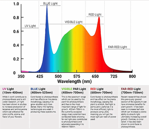 7Ma Thuật 2ft 4ft <span class=keywords><strong>60Cm</strong></span> 120Cm 220V Trái Cây Hoa Phát Triển Bóng Đèn Trắng Thủy Canh T8 <span class=keywords><strong>T5</strong></span> Ống Quang Phổ Đầy Đủ Phát Triển Ánh Sáng <span class=keywords><strong>LED</strong></span> Nhà Máy Đèn - Product Image 2