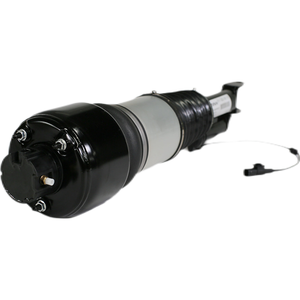 Amortiguador de Suspensión Neumática Delantero Izquierdo para W211 W219 Airmatic 2113205338 2113209313 - Product Image 6