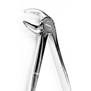Forceps d'extraction dentaire pédiatrique, petite taille, bec étroit, poignée texturée pour molaires inférieures, acier inoxydable - Product Image 1