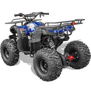 Batterie au plomb-acide 60V 20Ah, moteur <span class=keywords><strong>de</strong></span> moyeu arrière 2000W, vélo électrique tout-terrain à pneus larges en acier, 8 pouces, 4 roues, <span class=keywords><strong>moto</strong></span> tout-terrain - Product Image 2