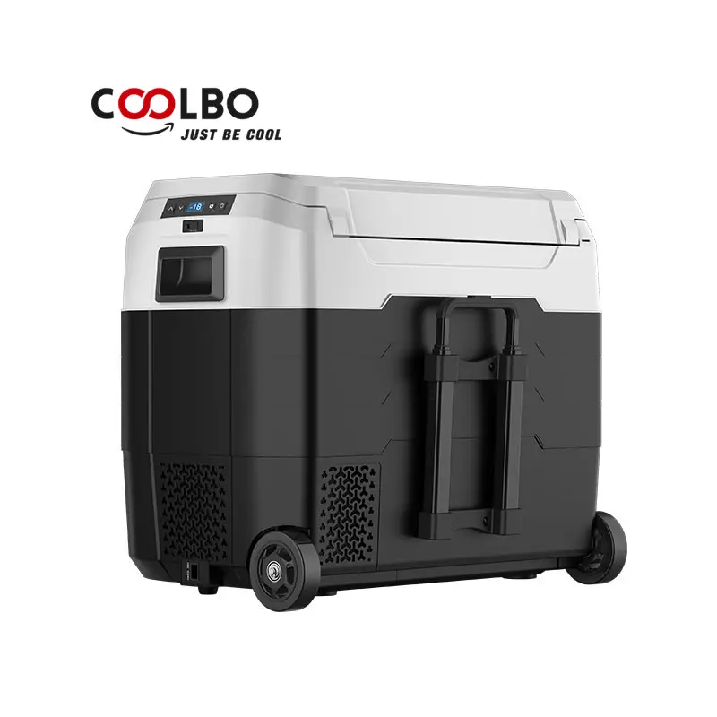 Coolbo נייד חשמלי מדחס מקרר מכונית 12 וולט 220 V Usb מיני חלב Cooler