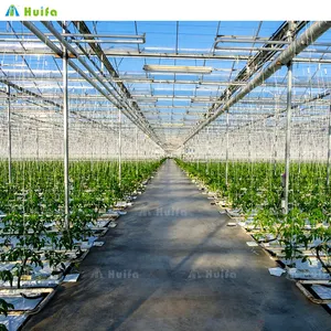 농업 온실 및 농장 터널 온실 플라스틱 필름 재배 토마토 온실 판매