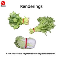 KUNJIN Volledig Automatische Verpakkingsmachine en Bandmachine voor Supermarkten met Peterselie Koriander Dille Broccoli OPP Desktop