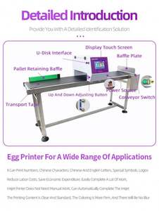Impresora de Huevos de Gallina de Inyección de Tinta HD Totalmente Automática, Seis Boquillas, 600 DPI, Nueva Condición, Tinta Ecológica para Aplicación en Etiquetas de Ropa - Product Image 5