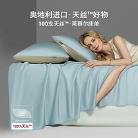 Vente en gros de linge de lit 100% Lyocell, ensemble de 4 pièces, luxe hôtelier 5 étoiles, ensemble de draps et de housse de couette, logo personnalisé