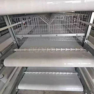 กรงไก่แบบสุ่มขนาดใหญ่สำหรับไก่ไข่อุตสาหกรรมอัตโนมัติราคาถูก - Product Image 6