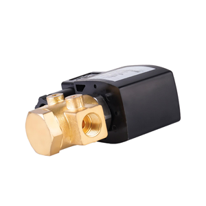 วาล์วโซลินอยด์ทองเหลืองแบบเปิดปกติสำหรับอากาศและน้ำ รองรับ OEM ODM สำหรับใช้กับเครื่องอัดอากาศ - Product Image 2