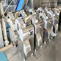 Roestvrijstalen sterke, duurzame groente- en fruitsnijmachine met grote capaciteit, geschikt voor het snijden van uien, aardappelen en wortelen.