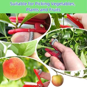 Couteau à doigts pour la récolte de légumes et fruits, outils de cueillette pour ferme, jardin, verger, à utiliser avec le pouce - Product Image 5