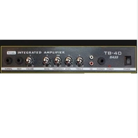 Amplificateur de basse électrique professionnel TB-40, contrôle des fréquences aiguisées, puissance 40 watts, 2 canaux