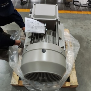Motore a induzione trifase da 15 kW, 400 <span class=keywords><strong>V</strong></span>, 50 Hz, per attuatore HVAC, attuatore serranda, unità di trattamento aria e controllo ventilazione - Product Image 4