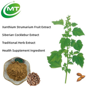 Doğal yüksek saflıkta Premium ücretsiz örnek geleneksel ot özü sibirya <span class=keywords><strong>Cocklebur</strong></span> özü Xanthium Strumarium özü - Product Image 2