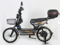 Vélo Électrique 2026 Moteur Avant Brushless 800W Cadre en Acier Carbone Frein à Tambour Batterie Plomb-Acide 50km 3 Vitesses Roues 20''