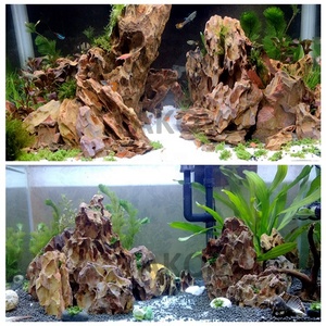 Aquariumdecoratie Bruine Drakenbeendersteen - Product Image 2