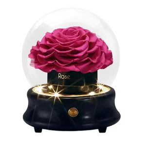 Valentines Mother Day Eternal Rose Gift Set LED Hot Pink Red Preserved Rose Flowers In Bluetooth Glass Dome