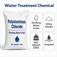 Chlorure de polyaluminium en poudre blanche PAC 30% haute teneur en alumine pour usine de traitement de l'eau du robinet
