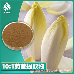 Extracto de Achicoria 10:1, Polvo de Achicoria Totalmente Soluble en Agua, Polvo de Achicoria Secado por Aspersión, Polvo Concentrado, Descuentos por Volumen - Product Image 2