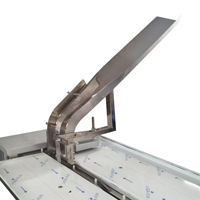 Skywin Machine à emballer automatique à grande vitesse personnalisée pour le chargement de biscuits