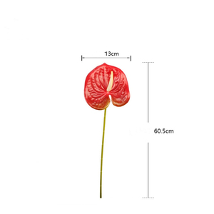 Hot-bán <span class=keywords><strong>anthurium</strong></span> hoa nhân tạo cảm ứng thực sự trang trí đám cưới nhựa hoa <span class=keywords><strong>anthurium</strong></span> Đỏ trắng xanh <span class=keywords><strong>anthurium</strong></span> cho trang trí nội thất - Product Image 6