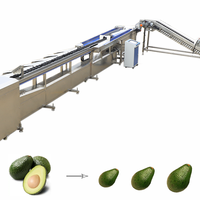 Avocado Oranje Cranberry Perzik Mais Groente Ui Sorteermachine Citroen Drakenvrucht Ecologisch Sensor PLC Model KHFX-6J Fruit