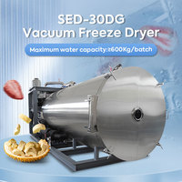 Commerciële Dehydrator Fruit-En Groentedroger Industriële Vriesdroogmachine
