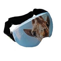 Nouveau design, bonnes ventes, logo personnalisé, accessoires de sports d'hiver pour hommes et femmes, lunettes de ski élégantes, lunettes à la mode