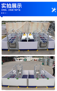 Chất lượng cao New Pig nâng cao thiết bị động vật lồng gieo <span class=keywords><strong>farrowing</strong></span> Crate cho lợn trang trại - Product Image 4