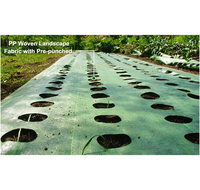 Rouleau de 100 m de tissu tissé anti-mauvaises herbes pour l'agriculture, résistant aux UV, imperméable, anti-herbe, couvre-sol, directement de l'usine