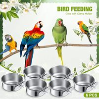 Bol à nourriture pour oiseaux en acier inoxydable, écologique, anti-rongeur, carré, mangeoire pour mynas et perroquets