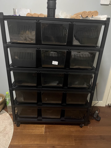 ระบบแร็คสำหรับสัตว์เลี้ยงสัตว์เลื้อยคลานสำหรับเลี้ยงงูตู้เลี้ยงสัตว์เลื้อยคลานชั้นวางลูก<span class=keywords><strong>งูเหลือม</strong></span> - Product Image 5