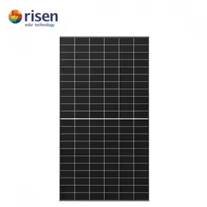 Risen N-Typ TOPCon Solarmodul 605W 610W 615W 620W 625W 630W EU-Lagerbestand Kostenloser Versand Sofort Lieferbar - Product Image 2