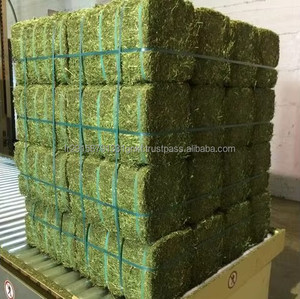 Rhode <b>Grass</b> Premium Alfalfa Hay Timothy Hay Feed Grade for <b>Dogs</b> Horses Cattle Pigs Fish High Protein Packaged Bales for Animals - Product Image 1