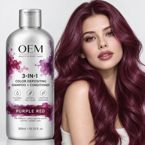 OEM 3-in-1 Farbdepotierendes Shampoo Conditioner 300ml Semi-Permanente Haarfärbemaske für Gefärbtes Haar Private Label - Product Image 2