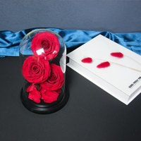 Trois roses réelles préservées dans un dôme en verre, stabilisées, éternelles, durables, fleurs préservées, cadeau romantique