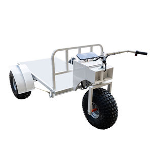 Wholesale Custom Wheel Electric Trolleys Beach Snack Gourmet Mobile <strong>Ice</strong> <strong>Cream</strong> Sale Electric Hand <strong>Cart</strong> Trolleys - Product Image 4