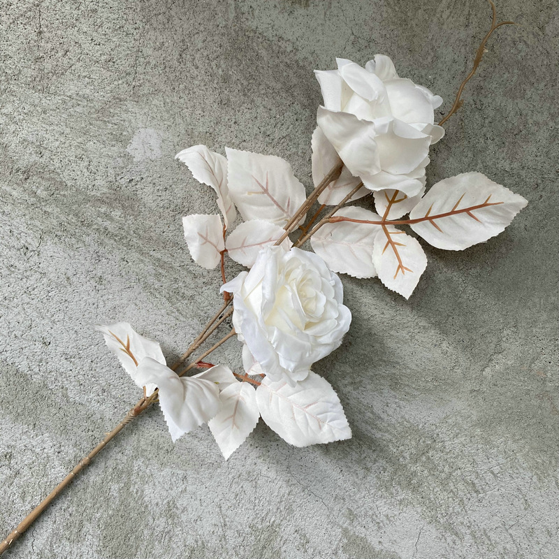 Bianco crema