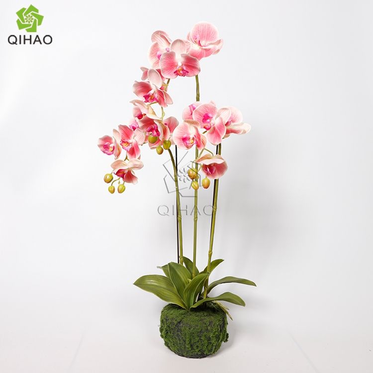 สีชมพูเข้ม