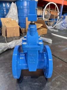 <span class=keywords><strong>Vanne</strong></span> à opercule assise résiliente AWWA C515 NRS avec commande par clé en T - Product Image 2