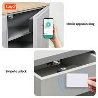 Serrure de meuble antivol RFID Tuya Smart Home pour armoire, tiroir et placard, sécurisée, sans clé, dissimulée et invisible