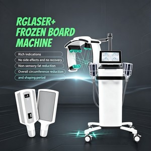 Macchina Criolipolisi Verticale Laser Aggiornata 10D Maxlipo 532nm 635nm per Rimozione Grasso e Rassodamento Pelle - Attrezzatura Estetica - Product Image 1