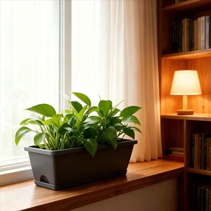 Hình Chữ Nhật Lớn Hà Lan Thân Thiện Với Môi Nhựa Bền Trồng Nồi Cho Ban Công Ngoài Trời Nhà Máy Tường Treo Chậu Hoa - Product Image 4