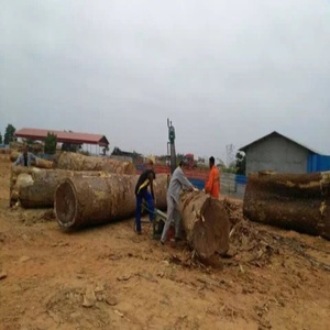 Gasoline Portable Yard Package Rip <b>Saw</b> 380V 2200mm Cutting Capacity - Product Image 2