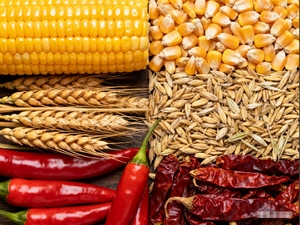 Débit d'air uniforme d'équipement de séchage d'épice électrique de machine de dessiccateur de piment compact pour les poivrons en poudre - Product Image 2