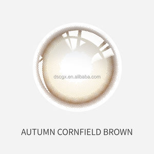 Moda Nino Marrón Gris Color Super Natural Belleza Ojo 14,00 Mm Color Lentes de contacto diarias - Product Image 6