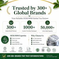 Thé Énergisant Sans Sucre, Sans Caféine, Sans Gluten, à la Betterave, Infusion à Froid, pour l'Exportation, 100g, Sachets de Thé Triangulaires de 20 Unités