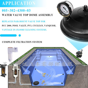 Conjunto de Filtro Superior con Manómetro para Piscina 005-302-4300-03 - Product Image 3